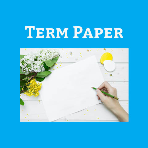 term papers online